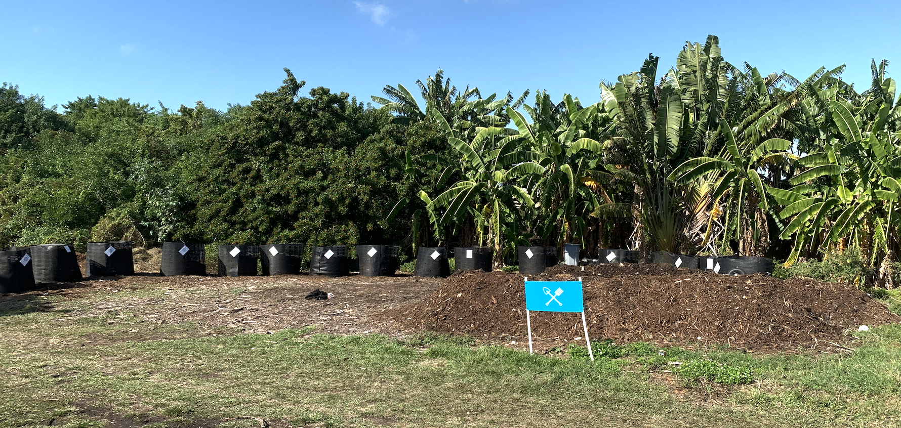 photo of compost bins